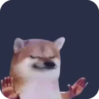 Video sticker 🫥 Gato :: @fStikBot