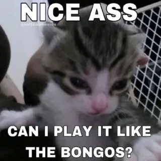 Telegram sticker 🥹 Jaj