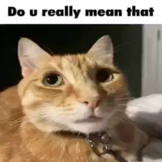 Telegram sticker 😒 Jaj