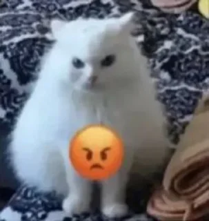 Телеграм стикер 😡 Больше стиков тут: @stikery4