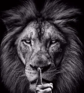 Telegram sticker ⏰ Rape Pack