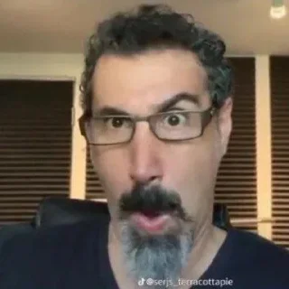 Video sticker 🌟 Серж GNIDA