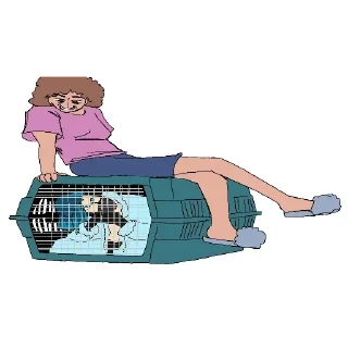 Video sticker 🩵 Сесё