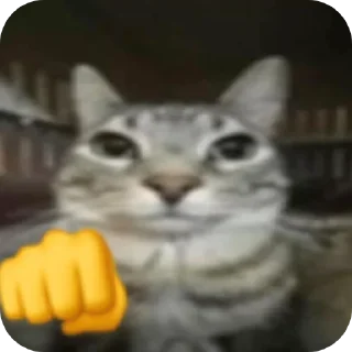 Telegram sticker 😾 HAN: cats