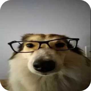 Telegram sticker 🤓 Больше стиков тут: @stikery4