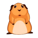 Video sticker 🙅‍♂️ Melie the Cavy