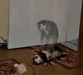 Telegram sticker 🐰 patrick's