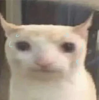 Telegram sticker 😕 patrick's