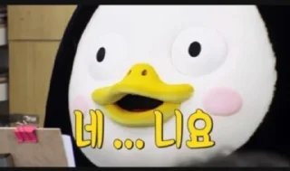 Video sticker 😨 PENGSU