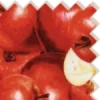 Video sticker 🍎 ˙ ∘𝐀𝐩𝐩...
