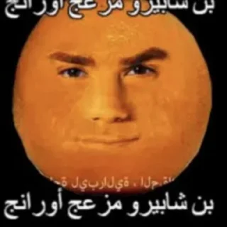 Video sticker 🍊 вот. да. :: @fStikBot