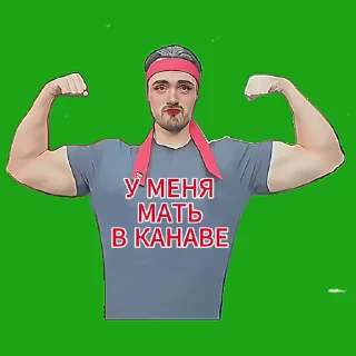 Video sticker ❤️ Я ДАУН У МЕНЯ МАТЬ В МЕССЕНДЖЕРЕ МАКС ➡️ @Ctikerubot