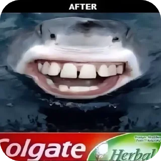 Video sticker 👄 ...