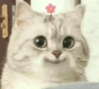 Телеграм стикер 😼 Alora's sticker pack (@Toga_Robot)
