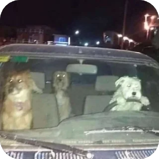 Телеграм стикер 🫥 Snoopy :: @fStikBot