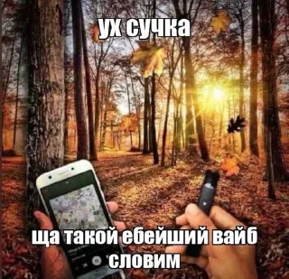 Telegram sticker 🌟 хайпожоры :: @fStikBot