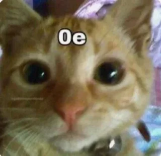 Video sticker 👍 Больше стикеров тут: @stikery_emodzi_memy