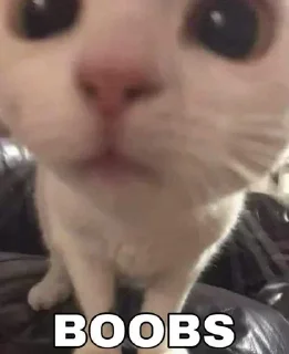 Телеграм стикер 😽 Больше стикеров тут: @stikery_emodzi_memy