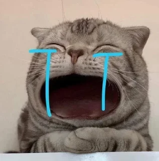 Sticker 😿 Больше стикеров тут: @stikery_emodzi_memy