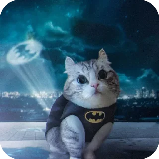 Telegram sticker 🐱 Комару @Hamster_Criminal_Komar :: @fStikBot