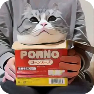 Telegram sticker 🐱 Комару @Hamster_Criminal_Komar :: @fStikBot