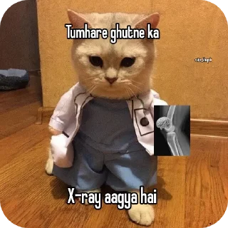 Telegram sticker 🐱 𝖣𝗐┊𝗇σвιтαㅤㅤ( @stickers_yt )