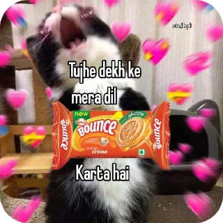 Video sticker 🐱 𝖣𝗐┊𝗇σвιтαㅤㅤ( @stickers_yt )