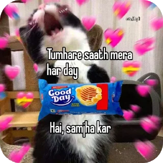 Telegram sticker 🐱 𝖣𝗐┊𝗇σвιтαㅤㅤ( @stickers_yt )