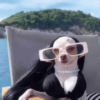 Video sticker 😎 Больше стиков тут: @stikery4