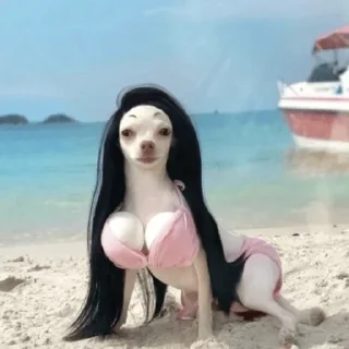 Video sticker 🌊 Больше стиков тут: @stikery4