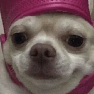 Sticker 🙂 Больше стиков тут: @stikery4