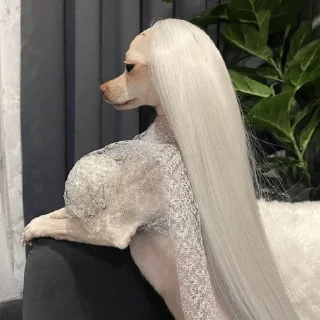 Telegram sticker 😌 Больше стиков тут: @stikery4