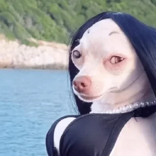 Video sticker 😀 Больше стиков тут: @stikery4