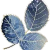 Sticker 🌿 Лунные сны by @atara_om
