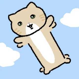 Video sticker 👍 @KakaoEmoji 누봉이애옹