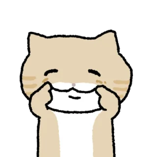 Video sticker 👍 @KakaoEmoji 누봉이애옹