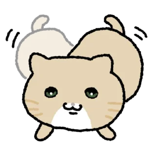Video sticker 👍 @KakaoEmoji 누봉이애옹
