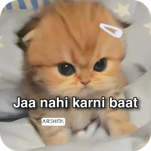 Telegram sticker 🐱 @Arshink_ot7 Shines hard...!!