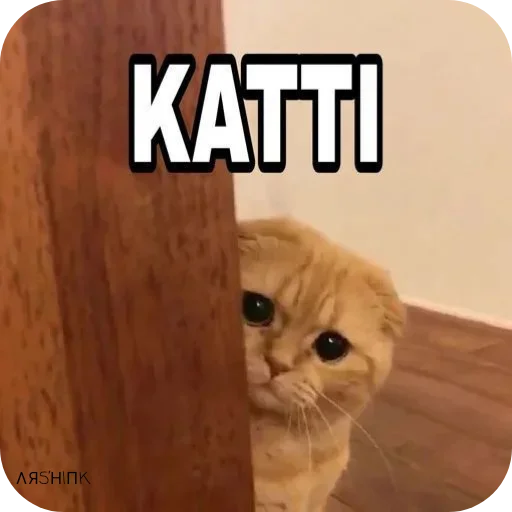 Telegram sticker 🐱 @Arshink_ot7 Shines hard...!!