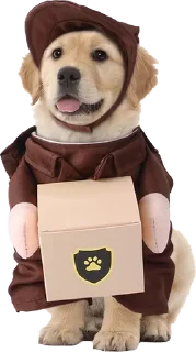 Телеграм стикер 🌟 KidsGraça :: @fStikBot