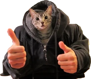 Телеграм стикер 🌟 KidsGraça :: @fStikBot