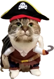 Телеграм стикер 🌟 KidsGraça :: @fStikBot