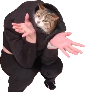 Телеграм стикер 🌟 KidsGraça :: @fStikBot