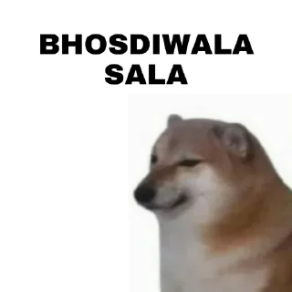 Telegram sticker 😂 @rzb_razor vol5