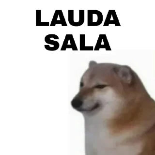 Video sticker 😂 @rzb_razor vol5