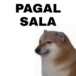 Telegram sticker 😂 @rzb_razor vol5