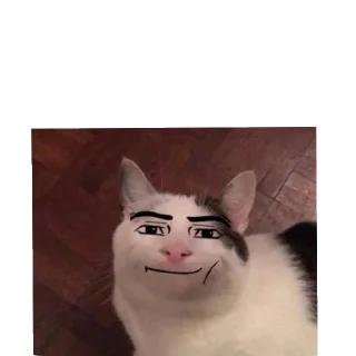 Telegram sticker 👍 SHOMB