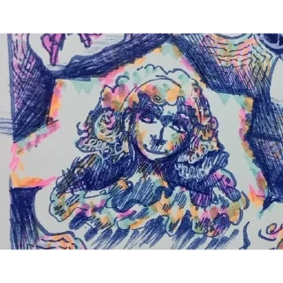 Video sticker 🩵 Камелия КАНОН