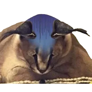 Telegram sticker 😣 BigFloppa