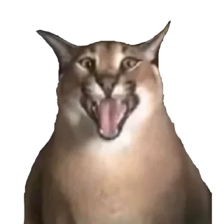 Telegram sticker 😦 BigFloppa